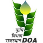 WhatsApp Image 2022-10-07 at 3.06.22 PM